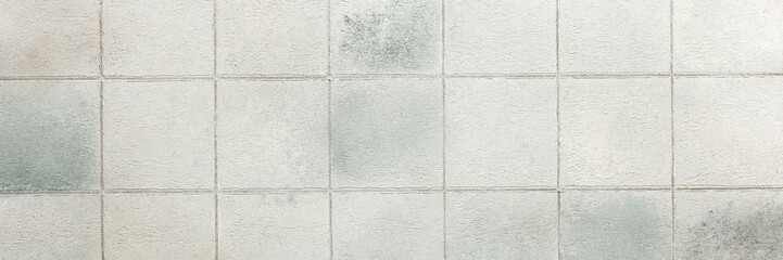Gray tiles create a sleek and glossy background, adding depth and sophistication to any interior or...