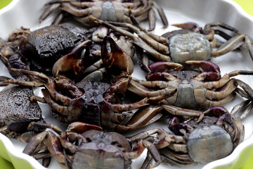 Preserved crabs for ingredient thai food