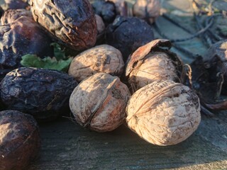 Walnuts, nut, food, healthy products