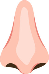 Nose
