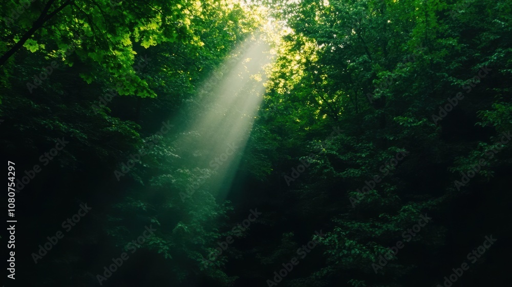 Poster a serene forest scene with rays of sunlight piercing through the lush green canopy, creating a tranq