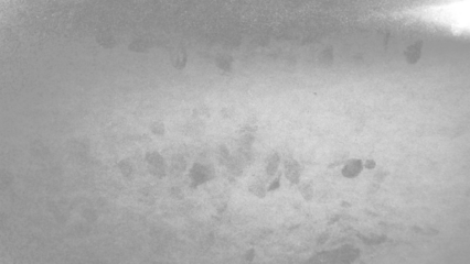 Grunge texture background PNG transparent.Opacity or screen mode usage for overlay