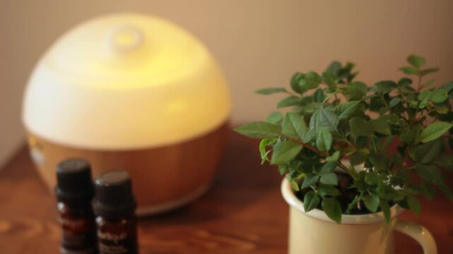 アロマ器と観葉植物～肩や首をマッサージされる女性