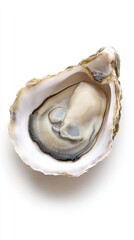 Naklejka premium Delicately opened oyster showcasing its lustrous interior on a pristine white background in a high-resolution format