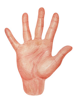 watercolor hand