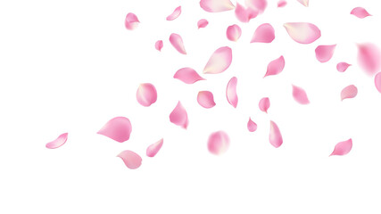 Rose petals or sakura flying petals, romantic background with realistic pink cherry flower petals flow or falling motion. Love, romance, floral spring season,cherry blossom