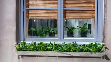 window with green leaves. Generate by AI