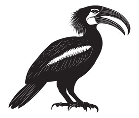 Obraz premium Hornbill bird isolated on white background, Silhouette of a hornbill animal bird vector