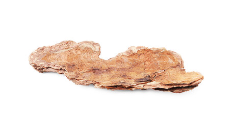 One piece of tree bark on white background