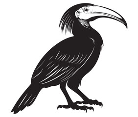 Obraz premium Hornbill bird isolated on white background, Silhouette of a hornbill animal bird vector