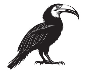 Fototapeta premium Hornbill bird isolated on white background, Silhouette of a hornbill animal bird vector