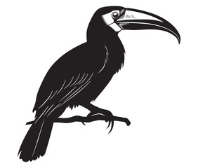 Obraz premium Hornbill bird isolated on white background, Silhouette of a hornbill animal bird vector
