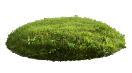 Round land made with green grass isolated on a transparent background