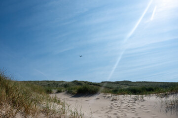 Dunes with beach grass, sun and an airplane on the North Sea coast