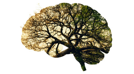 World epilepsy day. A brain Isolated on Transparent PNG. Epilepsy Awareness art.