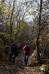Obraz premium Vallée de la Clarée, Névache (05)