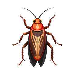 Cockroach illustration