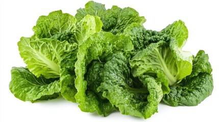Dark green Romaine lettuce leaves isolated against a white background