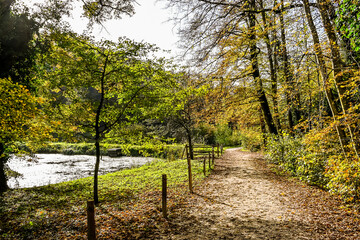 Arlesheim, Ermitage, Weiher, Seerose, See, Holzsteg, Baselland, Waldweg, Wanderweg, Spazierweg, Ausflugsort, Kraftort, Karpfen, Karpfenweiher, Herbst, Herbstfarben, Schweiz