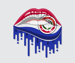 Paraguay Glossy Pride Blood Flag