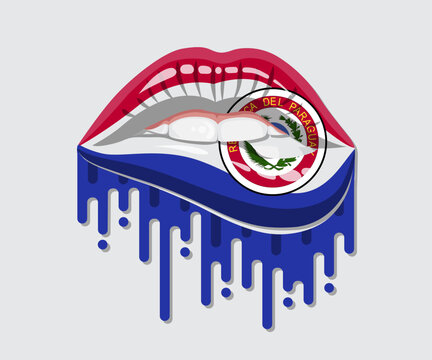 Paraguay Glossy Pride Blood Flag