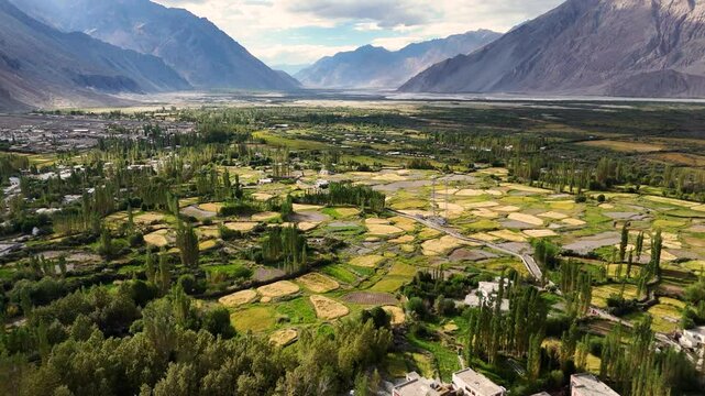 Aerial Drone shot of green nubra Valley in ladakh