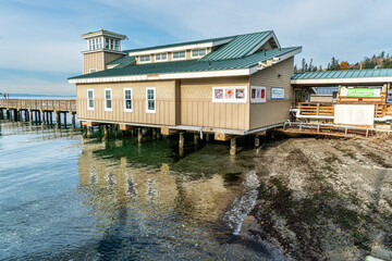 Shoreline And Pier