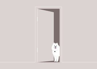 The fluffy Samoyed stands happily at the threshold of an open door, its charming expression brightening the minimalist room filled with soft colors and light