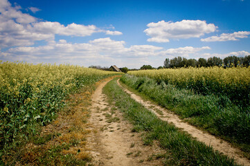 road across the field 
house in the distance