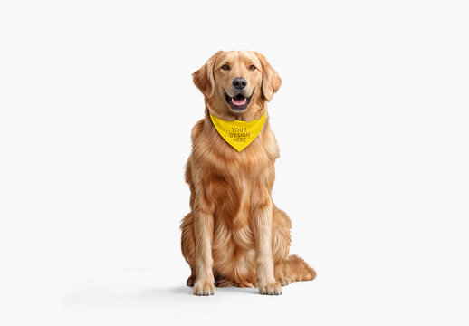 Dog Wearing a Bandana Mockup