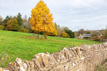 Autumn colours in the Cotswolds at the village of Lower Swell, Gloucestershire, England UK