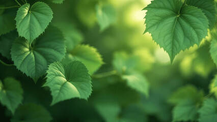 Fototapeta na wymiar Lush Green Leaves with a Fresh Mood in a Natural Setting