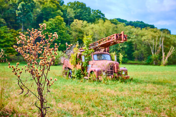 Abandoned Rusted Truck in Overgrown Field Eye Level Perspective