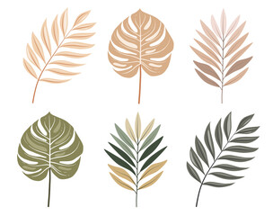 Boho Minimalist Tropical Palm Leaf Illustration Set – Modern Botanical Plant Decor in Earthy Neutral and Green Tones for Wall Art and Home Decor