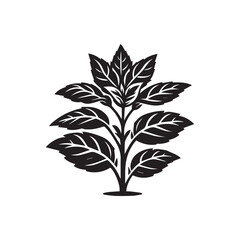 Simple Vector Icon of a Thai basil – Logo Design Illustration