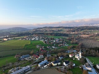 Tigring  / Moosburg