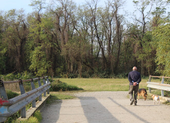 Signore anziano che passeggia col suo cane nel parco in autunno
