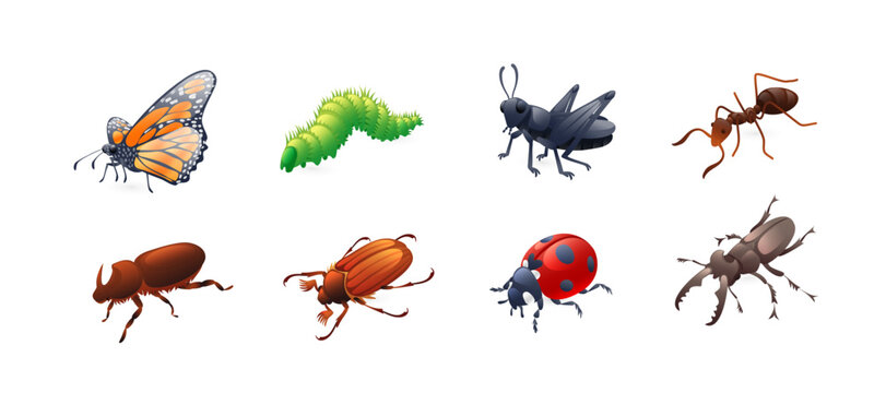 Set of insect illustrations, butterfly, caterpillar, cricket, ant, rhinoceros beetle, stag beetle, ladybug, cockchafer, realistic in 3d style.