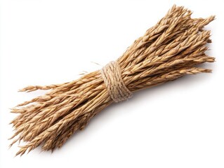 Natural Dried Wheat Sheaf Bundled Together with Twine on White Background Perfect for Rustic Decor and Agricultural Themes