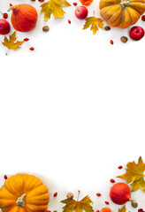 Pumpkin, acorns, red berries, apples and autumnal colorful maple leaves on a white background with space for text . Top view, flat lay