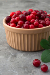Cranberry in a ceramic bowl on a dark background. Close.