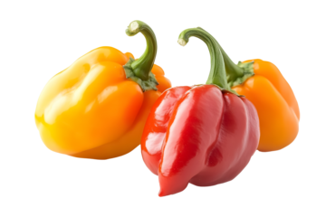 scotch bonnet chili isolated on white background 