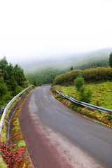 Empty road in Sao Miguel island mountains