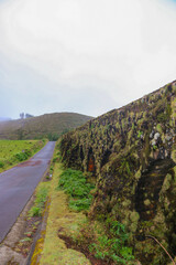Naklejka premium Road in the countryside close to an old aqueduct - Azores island