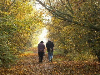 A footpath in autumn with two people walking away into the distance