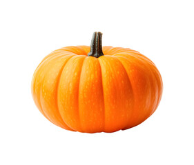 Obraz premium Seed of the pumpkin on a transparent background. isolated background.