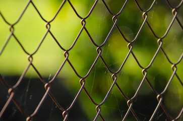 Fototapeta premium close up view of detail of wire and chain-link fence with green background