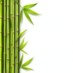 Fototapeta premium Lush Green Bamboo Stalks with Leaves Captured in Natural Light, Perfect for Natural, Botanical, or Tranquil Themes in Photography Projects and Designs