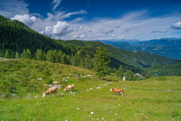 Blick ins Gailtal, Kärnten, Österreich