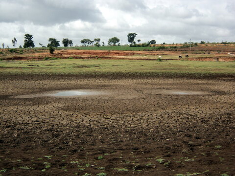 A dried lake in Karnataka, India, with cracked earth landscape. desertification in photo, climate change concept. Severe drought with sparse water puddles 